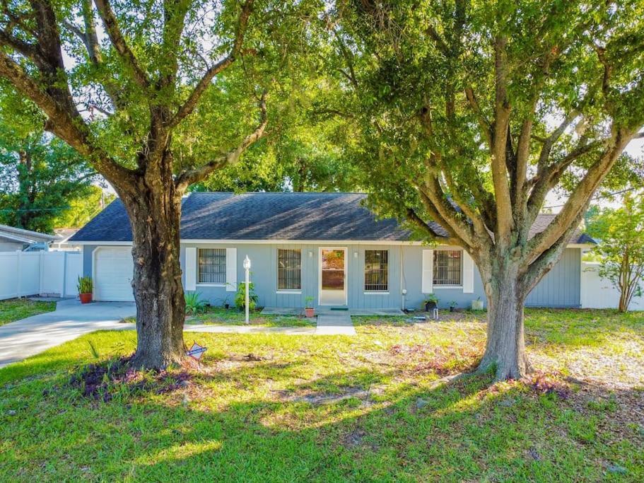 Villa Town 'N' Country Cozy Corner, Your Florida Fun Hub Tampa Exterior foto
